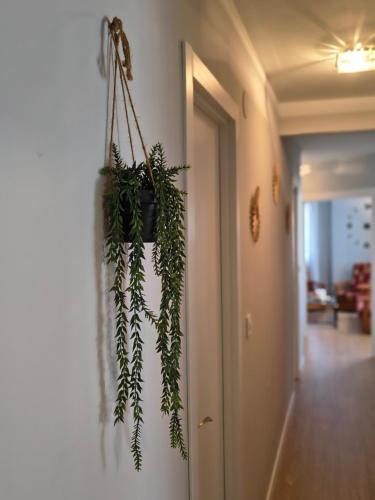 Padron Apartment | Apart Martínez Rosalía