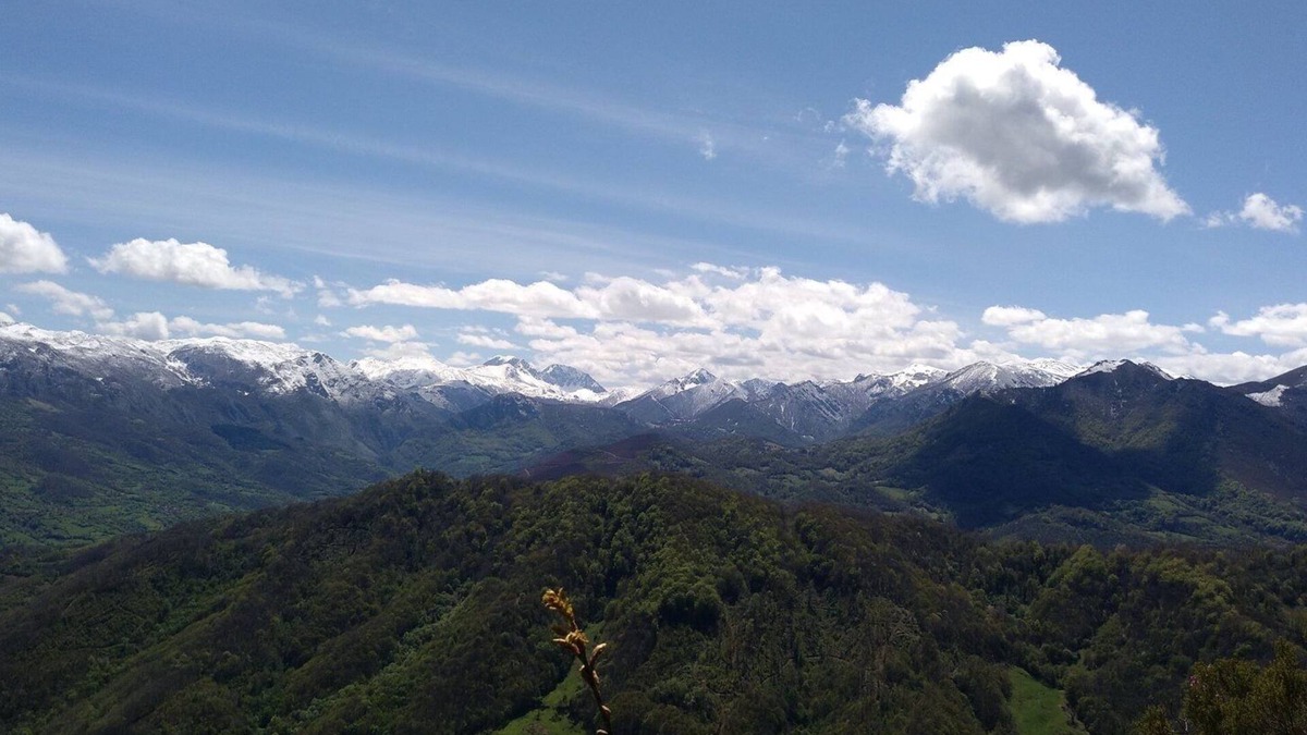 Vigidel Apartment | Apartamentos Valdecarzana . Braña el Revellón Senda del oso