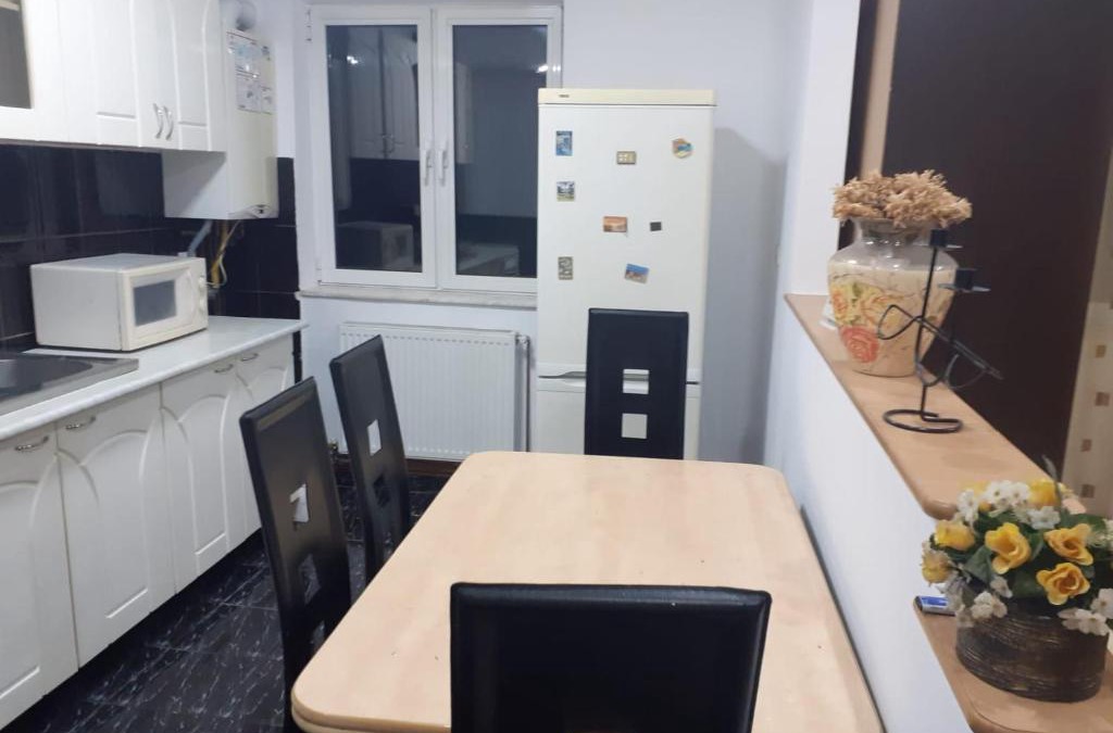 Emanoil Gojdu Apartment | Apartament 2 camere