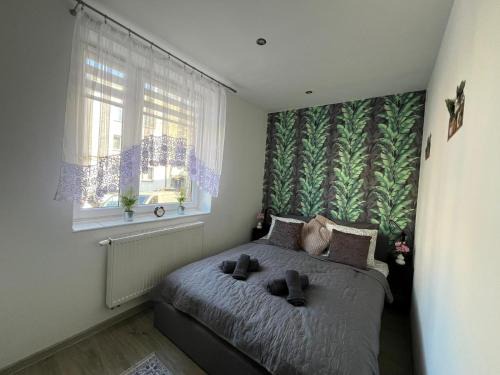 Szarlej Apartment | Apartament city center 118