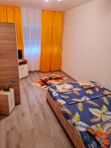 Baile Herculane Apartment | Apartament Costescu 2