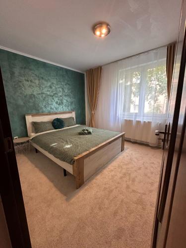 Petrosani Apartment | Apartament Iasmina