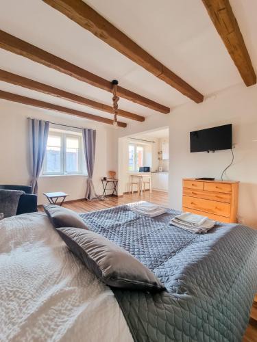 Czestochowa Apartment | Apartament Jurajski parking 8 minut od alei