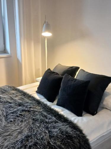 Augustow Apartment | Apartament - malowniczy Augustów