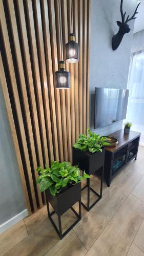 Wroclaw City Center Apartment | Apartament Midnight Blue