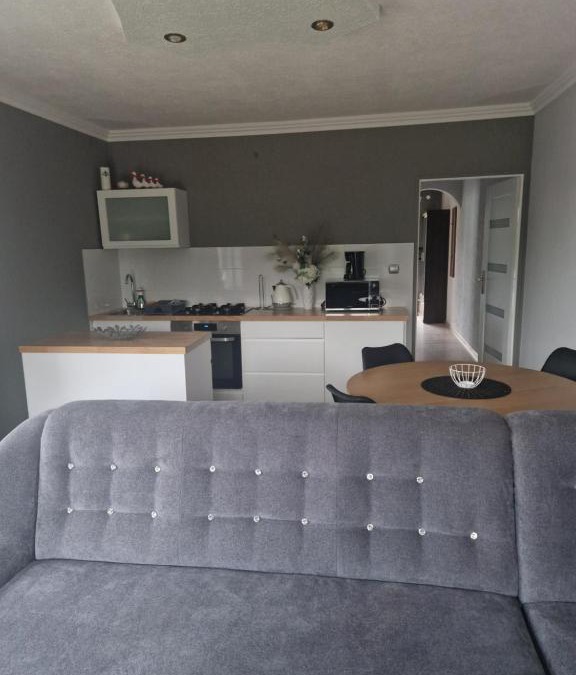 Ladek-Zdroj Apartment | Apartament na Gerberów