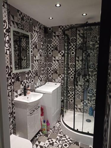 Wloclawek Apartment | Apartament Okrzei