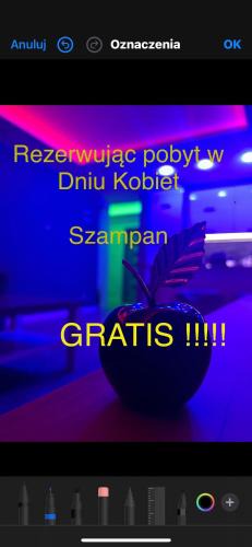 Sanok Apartment | Apartament Perfect Relax