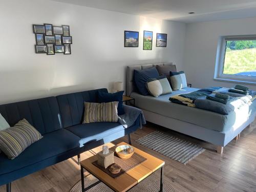 Jedlina-Zdroj Apartment | Apartament pod Sejdakiem