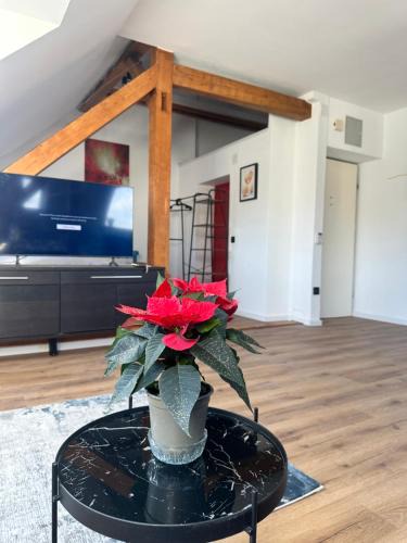 Maxglan Apartment | Apartament Salzburg mit Untersberg Ausblick