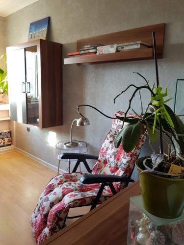 Pierwoszyno Apartment | Apartament Tequila