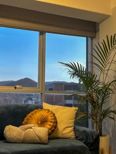 Cusco Apartment | Apartamento con Plantas en Cusco