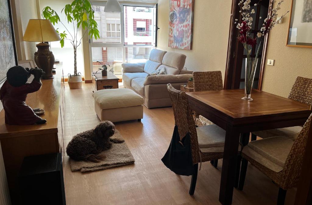 Castro Urdiales Apartment | Apartamento La Sirena Brazomar