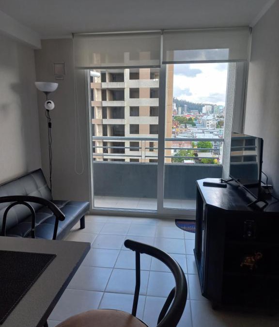 Concepcion Apartment | Apartamento Manuel Rodríguez 140