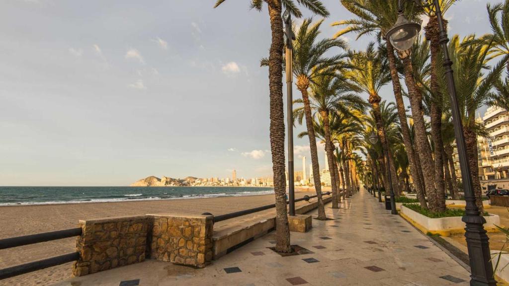 Benidorm Centro Apartment | Apartamento Nereida IF Beach B
