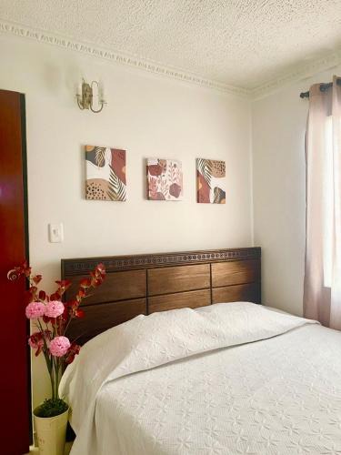 Palmira Apartment | Apartamento para máx 5 personas, habitación privada con cama doble , habitación abierta con camarote y sofá cama, comodo, bonito, central, bien ubicado, en el centro de palmira