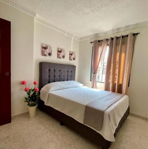 Palmira Apartment | Apartamento para máximo 3 personas, habitación privada con cama doble , dos sofá cama, comodo, bonito, central, bien ubicado, en el centro de palmira