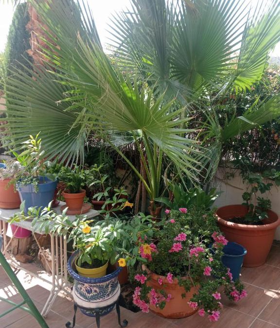 Cenes de la Vega Villa | Apartamento pico del veleta