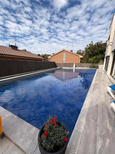 Teia Apartment | Apartamentos Rosa de Abril