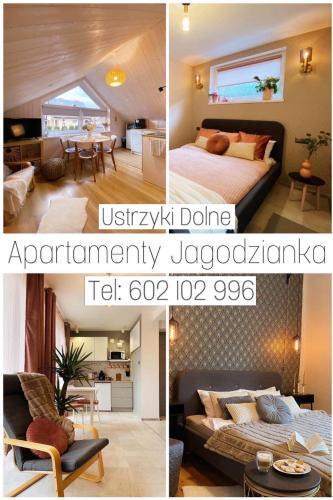 Ustrzyki Dolne Apartment | Apartamenty Jagodzianka - Jacuzzi, Sauna, Tężnia solankowa