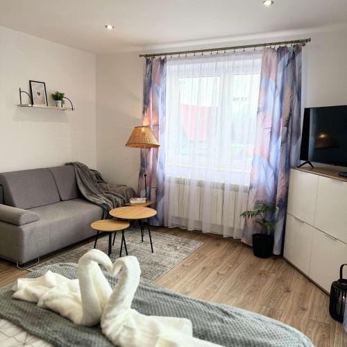 Tylicz Apartment | Apartamenty Kamata
