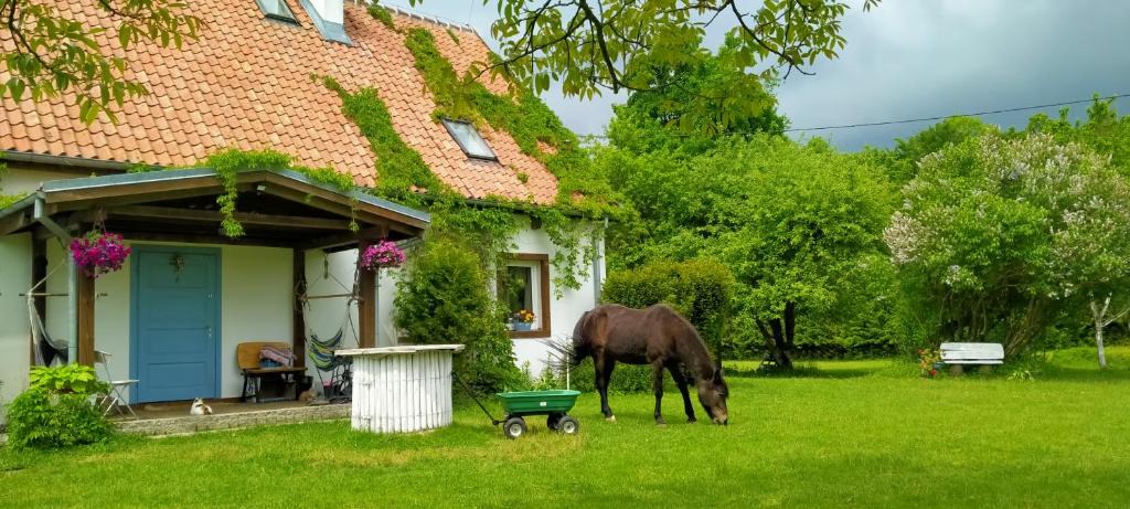 Mlynary Apartment | Apartamenty na wsi Horses&Relax