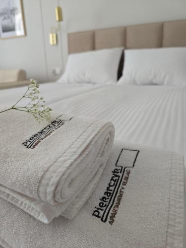 Elblag Apartment | Apartamenty Piekarczyk - OLD TOWN Elbląg - No Air Conditioning
