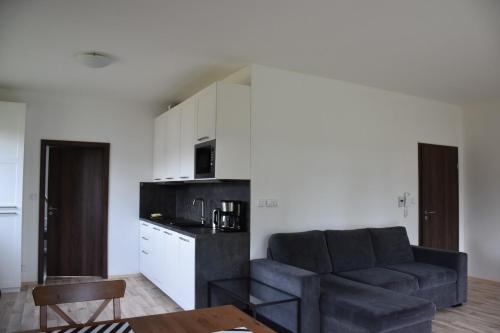 Cerny Dul Apartment | Apartmán 198