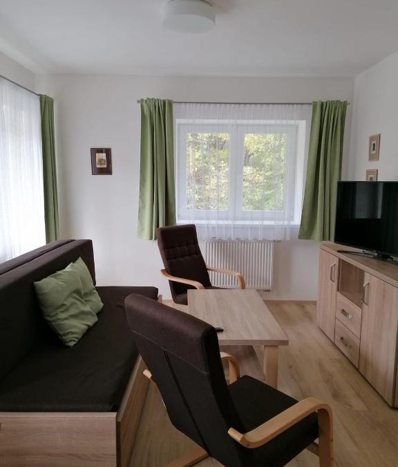 Horni Lipova Apartment | Apartmán 68 Horní Lipová