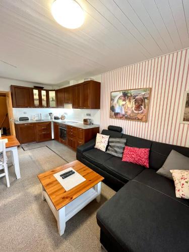 Pec pod Snezkou Apartment | Apartmán C01 Poustevník