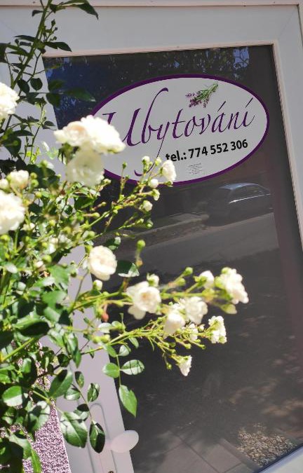 Ratiskovice Apartment | Apartmán Café u Kordulky