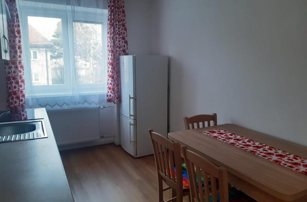 Nove Mesto na Morave Apartment | Apartmán Mírová