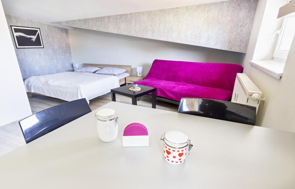 Velky Slavkov House | Apartmán Theo