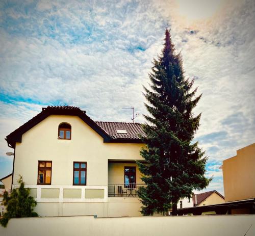 Dvur Kralove nad Labem Apartment | Apartmán U SMRKU