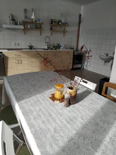 Linhartice House | Apartmán v Anenském údolí