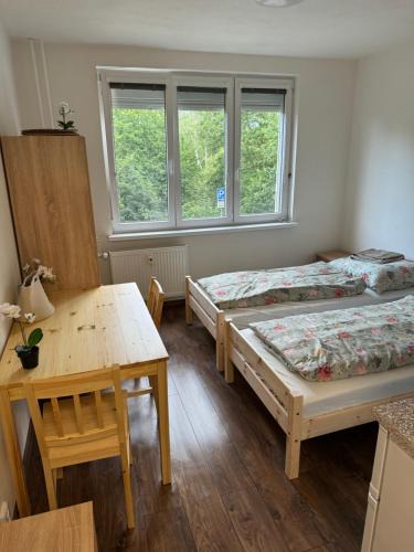 Karlovy Vary Apartment | Apartmán v Karlových Varech pro 2 osoby, free wifi