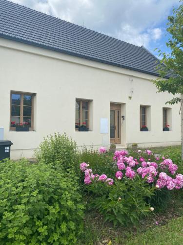 Mikulcice Apartment | Apartmány Mikulčice
