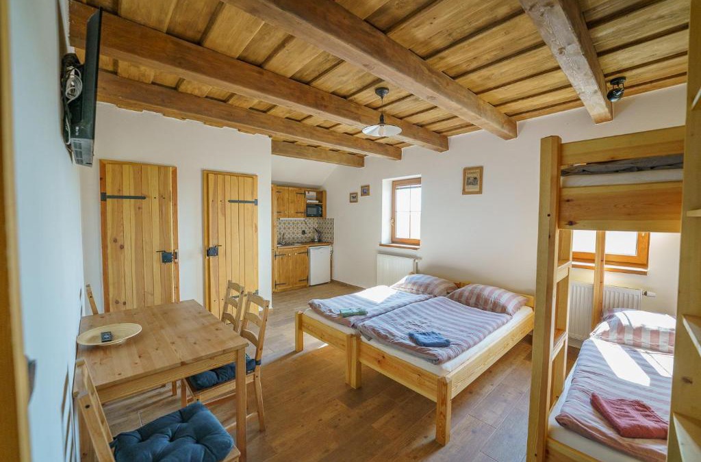 Pouzdrany Apartment | APARTMÁNY PAUSRAM