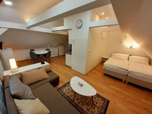 Lazne Kynzvart Apartment | Apartmány v centru - Lázně Kynžvart