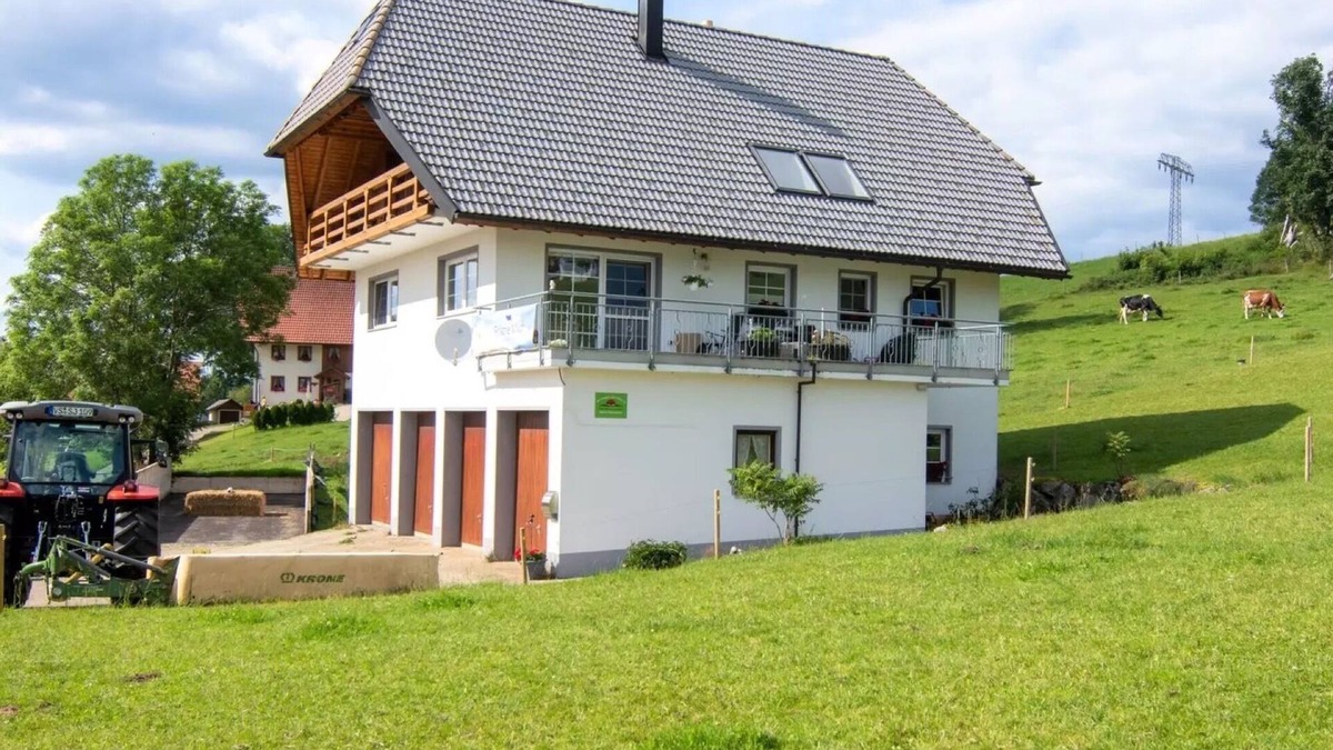 Schoenwald Apartment | Apartment "Haus Mühlenfranzenhof" with Balcony & Wi-Fi