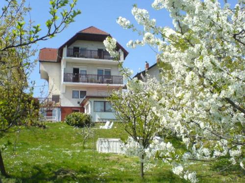 Heviz Apartment | Apartman Berki