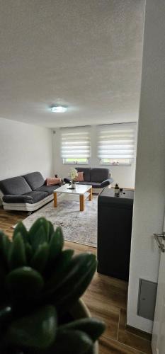 Sanski-Most Apartment | Apartman Deny