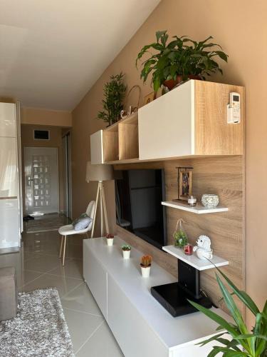 Bjelisi Apartment | Apartman DVA SRCA