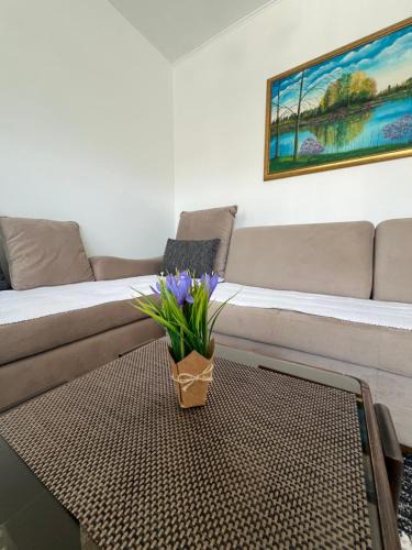 Mali Radic Apartment | Apartman Jan