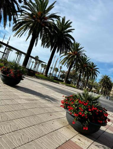 Salou City Centre Apartment | Apartman Leoni 1 linea