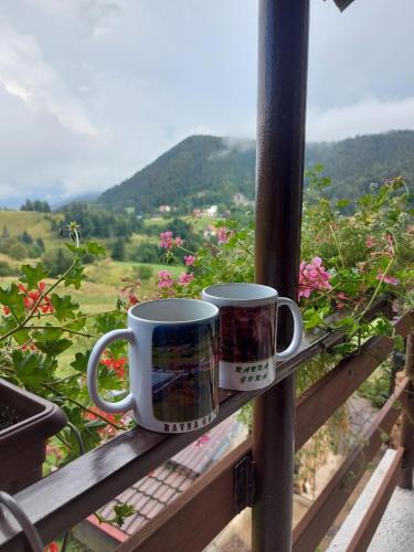 Ravna Gora Apartment | Apartman Skender 3* Ravna Gora