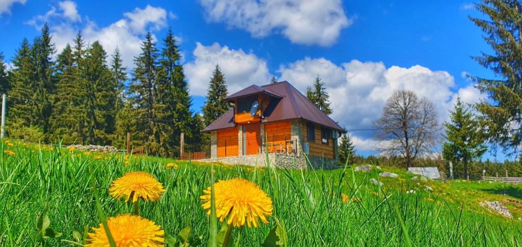 Sokolac Ski Chalet | Apartmani Nišićka Oaza