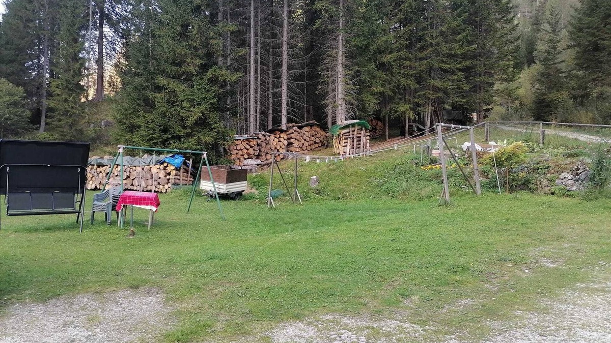 Santo Stefano di Cadore Apartment | Apartment 'Val Visdente 2' with Mountain View, Shared Garden and Wi-Fi