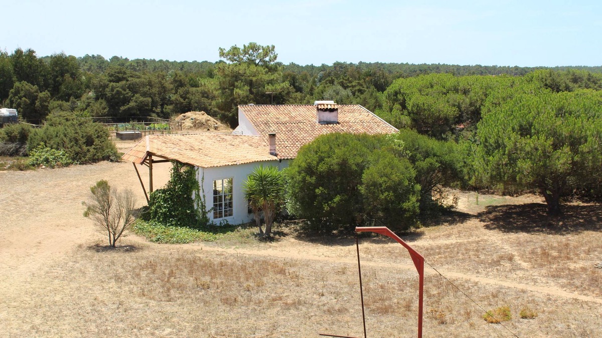 Odemira Cottage | Apartment in natural park overlooking the sea.