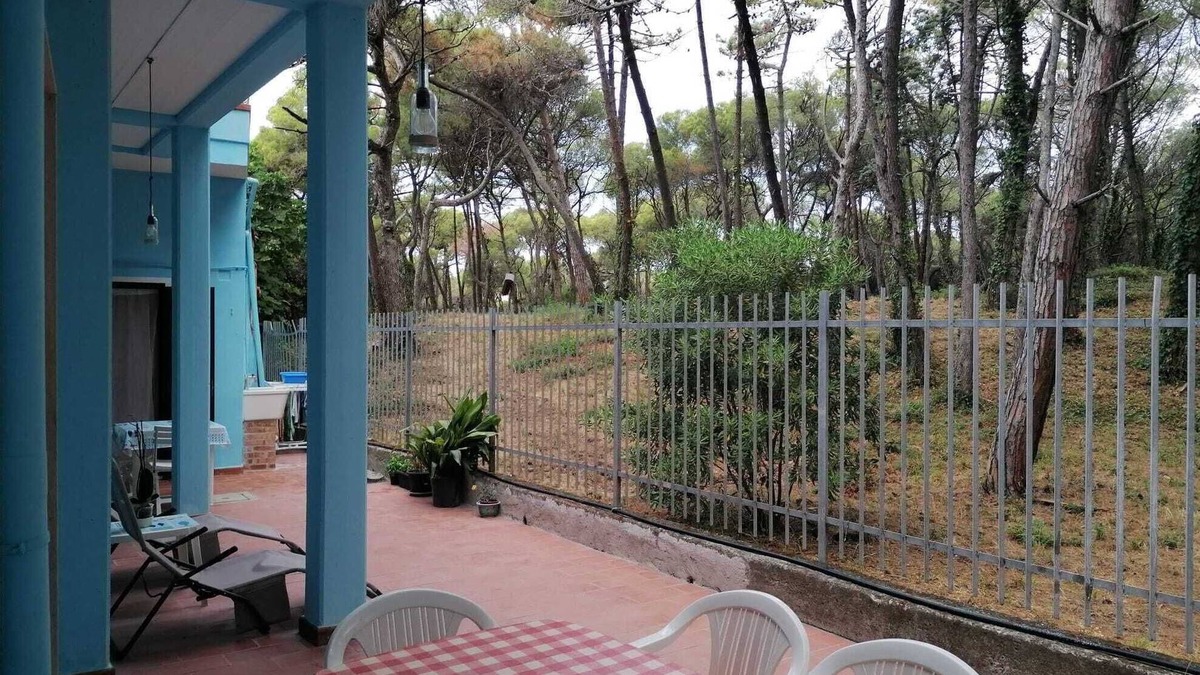 Marina di Bibbona Apartment | Apartment 100 m (real) from the sea